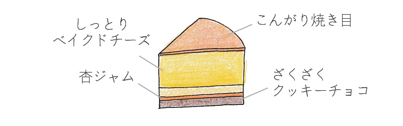 ベイクドチーズ断面図